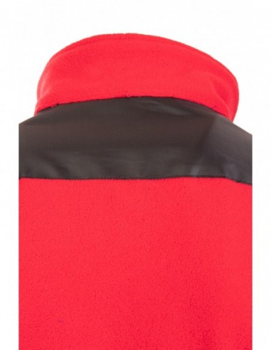 POLAR RUBIN – SIEBEN KÖNIGE