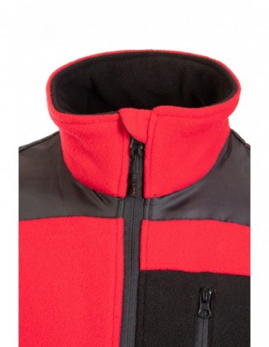 POLAR RUBIN – SIEBEN KÖNIGE